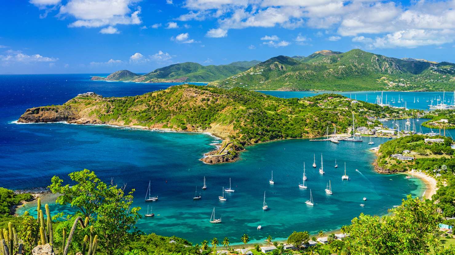 The Island Hopping Experience